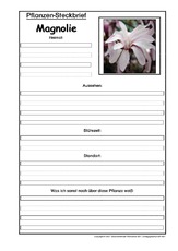 Pflanzensteckbrief-Magnolie.pdf